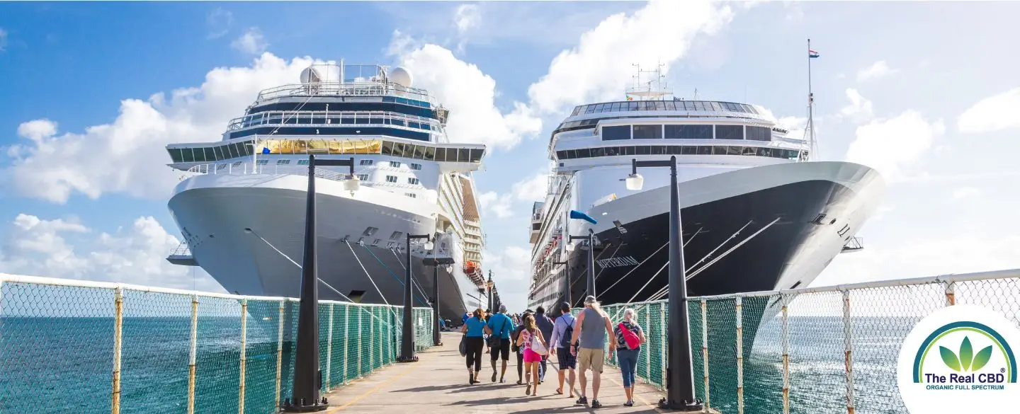 Deux grands paquebots de croisière avec des touristes marchant vers eux