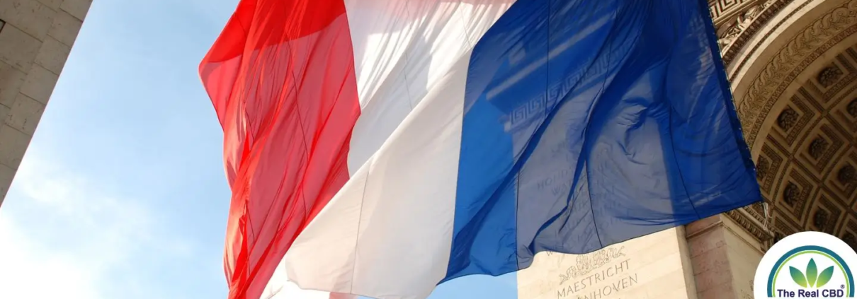 French flag waving in front of building