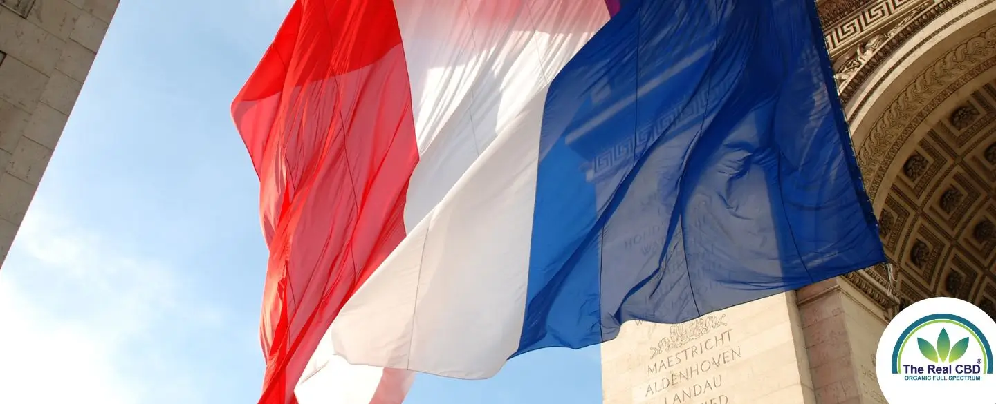 French flag waving in front of building