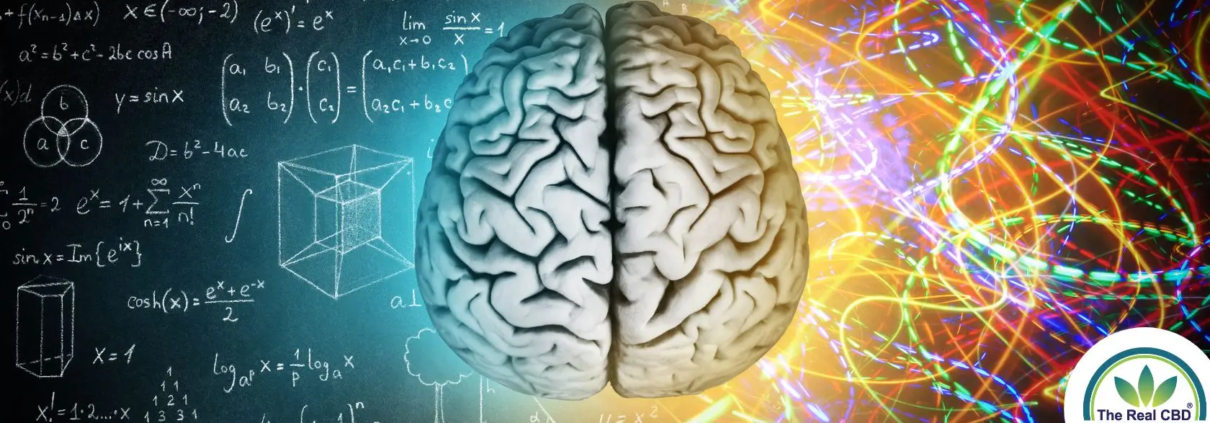 Cerveau sur un tableau noir avec un boulier d'un côté et des courants électriques de l'autre