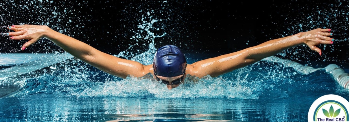 Schwimmer im Schwimmbad beim Schmetterling