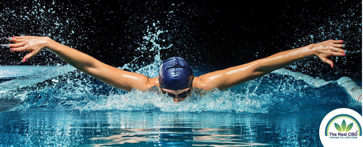 Schwimmer im Schwimmbad beim Schmetterling