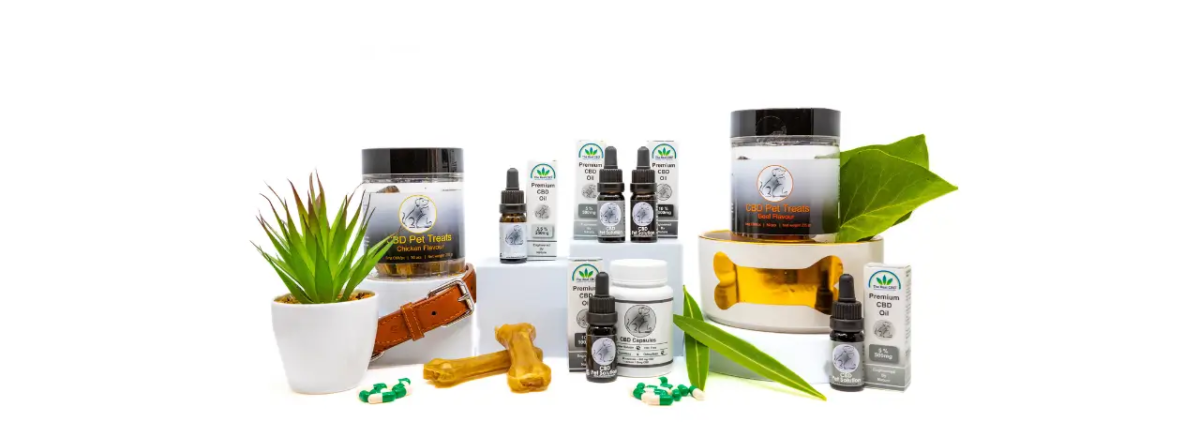 Display of The Real CBD Pet Products