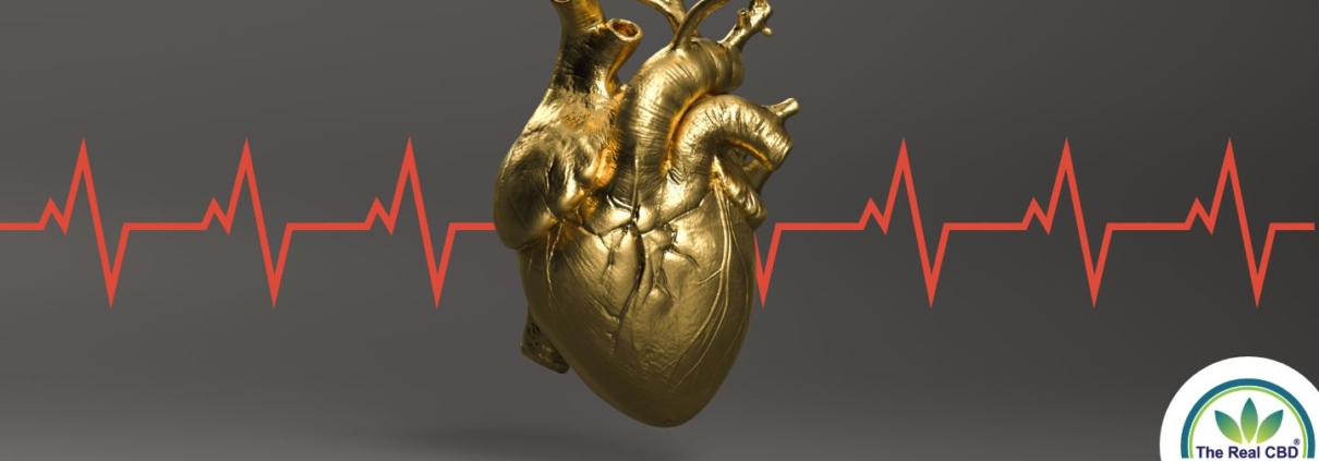 A gold human heart with EKG red line going through