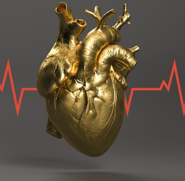 A gold human heart with EKG red line going through