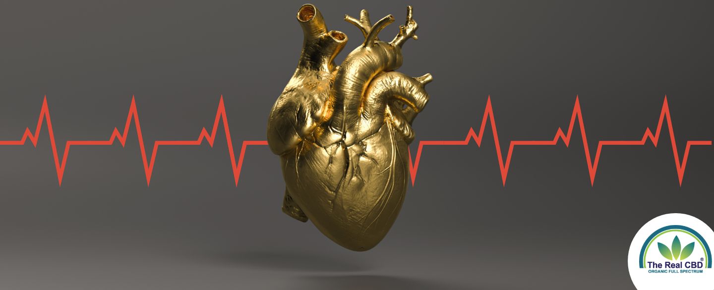 A gold human heart with EKG red line going through